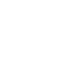 Domestic Ant Control For Worthing